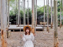 -桉树林A coffee 森林餐厅(三圣乡店)