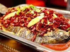 -鱼酷活鱼烤鱼(昆明路店)