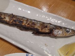 -鸟亭·居酒屋(青年路店)