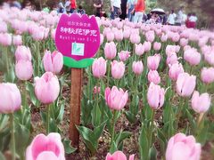 -长春公园(普阳街道)