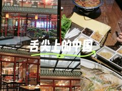 -老山东·山东菜(鲁菜名店)