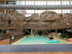 -杭州开元森泊度假乐园