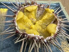 -海胆小馆(东北水饺·春柳店)