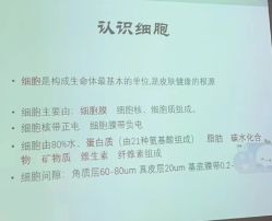点击看大图 -玛莲朵·海菲秀冰珀科