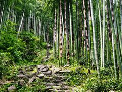 -安吉龙王山风景区