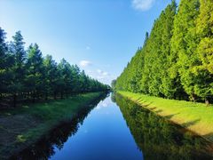 -黄海国家森林公园