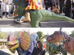 -中国西峡恐龙遗迹园
