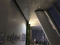 -WFC会仙楼观景台