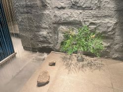 -美壹生皮肤管理中心