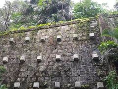 -九龙公园