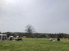 -合肥三国新城遗址公园