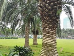 android_upload_pic-万绿园
