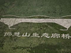 -佛慧山