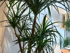 -1861意大利餐厅(来福士店)