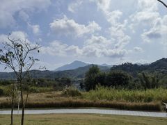 -广州市流溪河国家森林公园