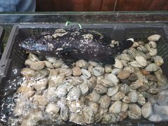 -鑫阿强海鲜大排档·老厦门特色菜(中山路店)