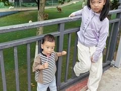 -西霞口神雕山野生动物世界