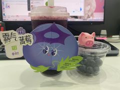 -奈雪的茶(苏宁广场店)