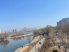 -长白岛森林公园