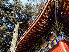 -终南山南五台景区