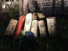 -黄山排云型旅酒店餐厅