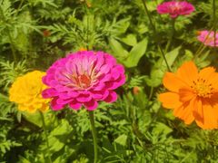 -贵阳市花溪国家城市湿地公园