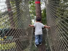 -芦仙山景区-飞越丛林探险乐园