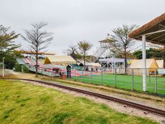 -长洲岛