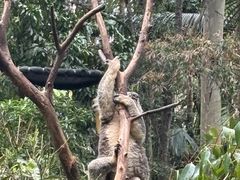-可伦宾野生动物保护区