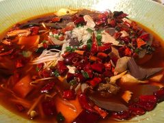 -小吊梨汤·北京菜·烤鸭(鸟巢店)