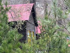 -原山国家森林公园