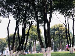 -重庆市江北嘴中央商务区中央公园