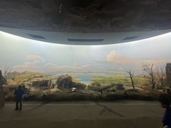 -水洞沟旅游区