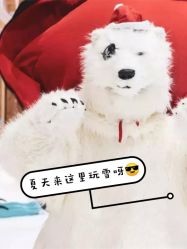 -Mr·Kuma酷么先生雪之乐园