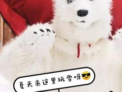 -Mr·Kuma酷么先生雪之乐园