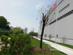 -马浜花园