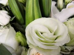 -ChaKo Flora ·茶子花艺 (市北店)