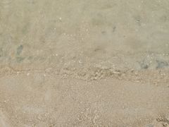 -平湖九龙山旅游度假区