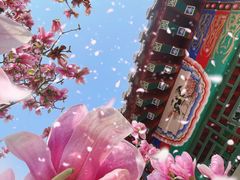 -丰台花园