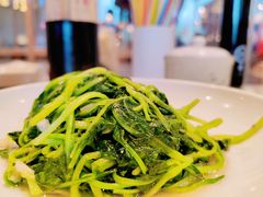 -文三里屯面馆(三里屯店)