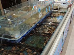 -天盛海鲜烧烤大排档·本地小海鲜·牟平腿穗子(幸福店)