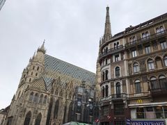 -斯蒂芬主教座堂(Stephansdom)