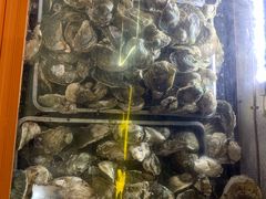 -土蚝·高压锅生蚝(百姓美食街店)