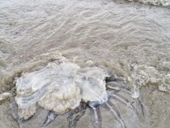 -南澳海滩