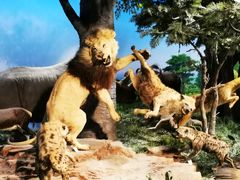 -国家自然博物馆