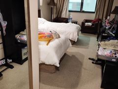 -北京九华山庄会展酒店