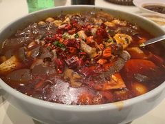 -渝信川菜 · 川味家常菜(财富购物中心店)