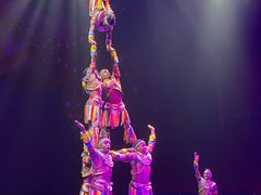 -珠海横琴长隆《卡卡虎奇遇记》