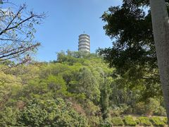 -深圳国际园林花卉博览园