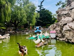 -团结湖公园